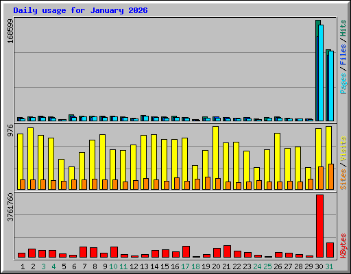 Daily usage for January 2026