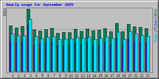 Hourly usage for September 2025