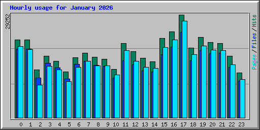 Hourly usage for January 2026