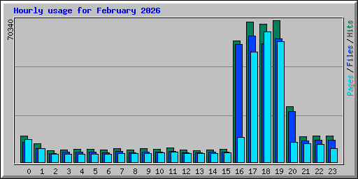 Hourly usage for February 2026