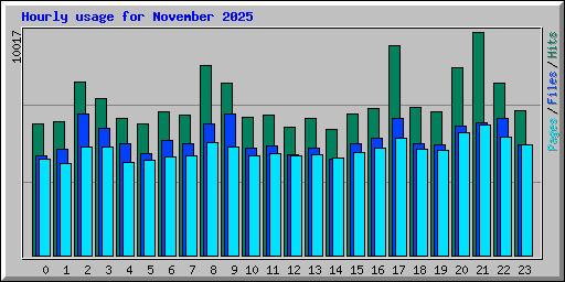 Hourly usage for November 2025