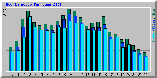 Hourly usage for June 2026