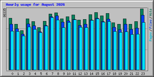 Hourly usage for August 2026